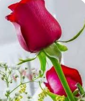 শুভ সকাল!