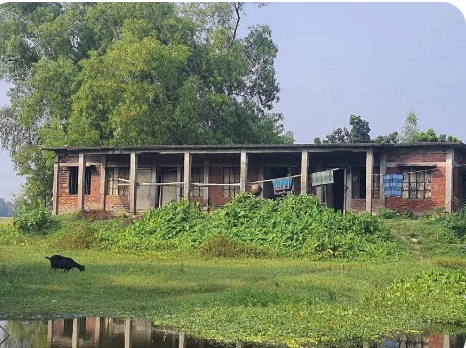 ঘাটাইলে শিক্ষক সংকটে ব্যাহত পাঠদান